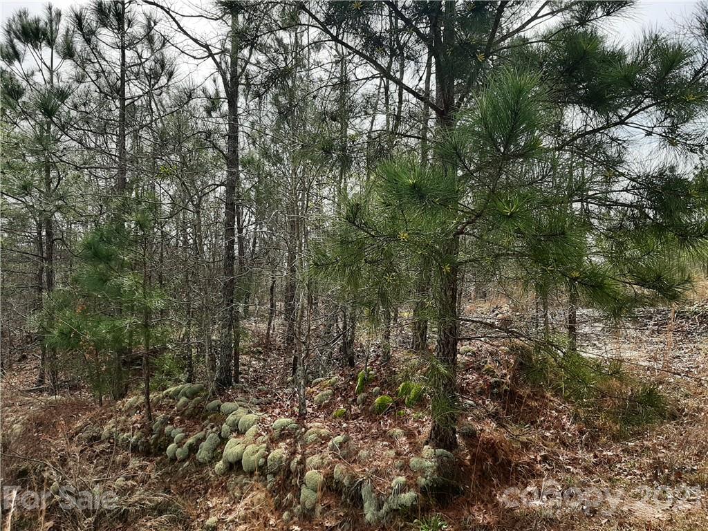 1359 Jones Road Kershaw, SC 29067 - Photo 3 of 4 Gallery Image 3