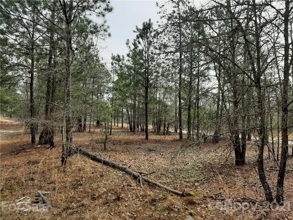 1359 Jones Road Kershaw, SC 29067 - Photo 4 of 4 Gallery Image 4