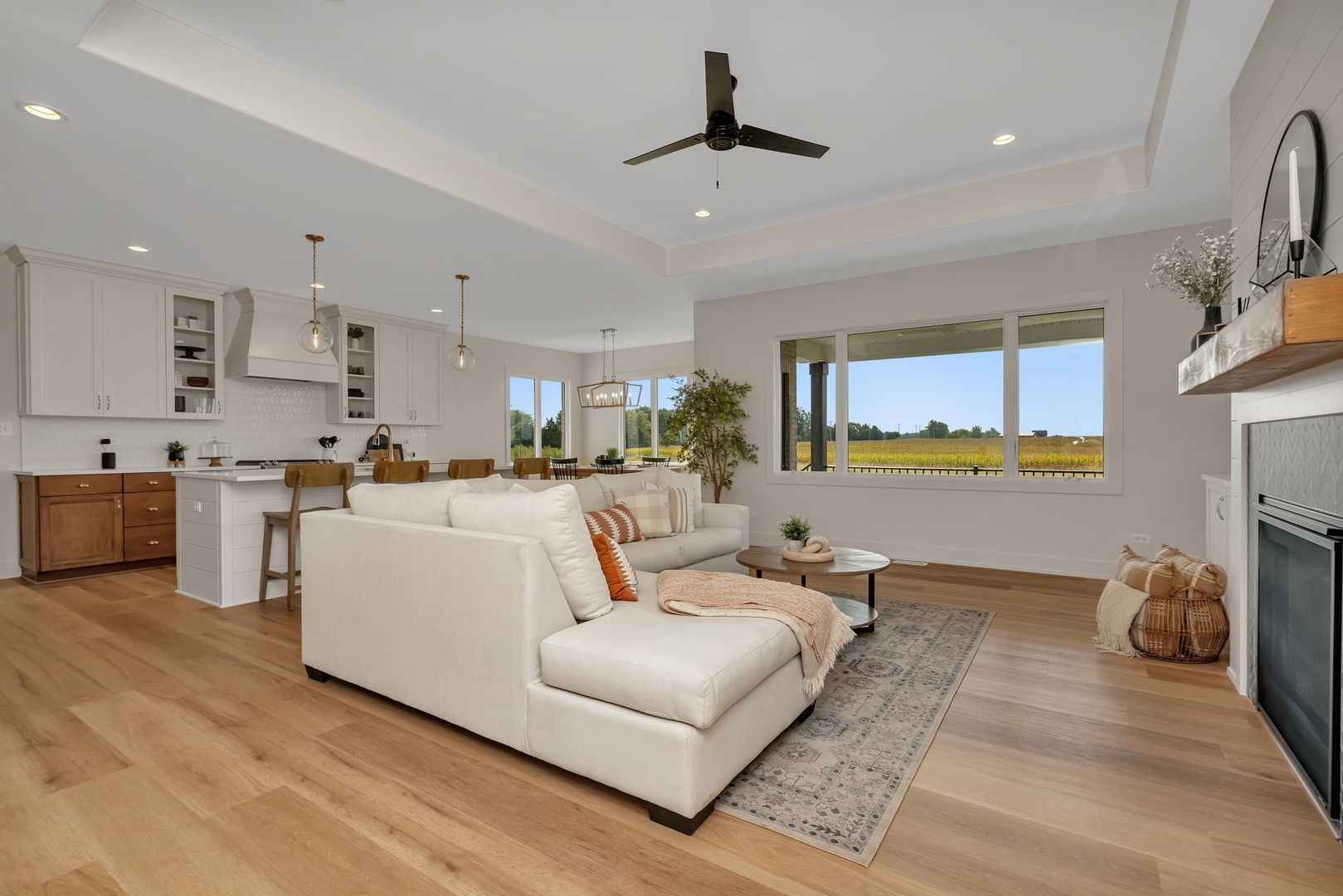 1074 Kinley Drive New Lenox, IL 60451 - Photo 8 of 37 a living room with furniture and a fireplace