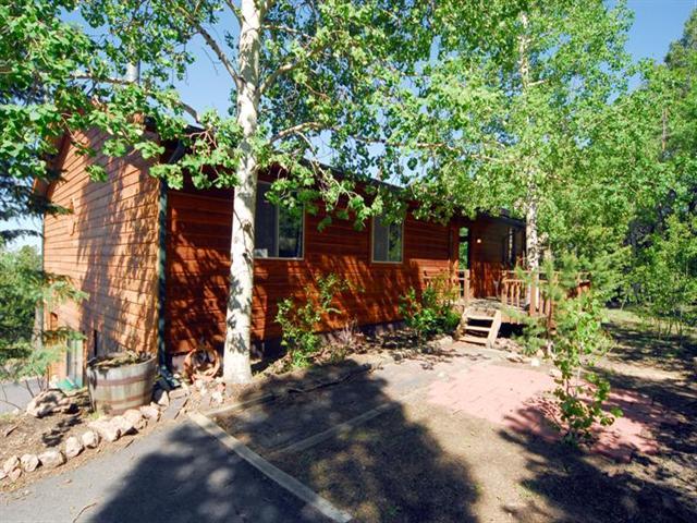 9770 South Warhawk Road Conifer, CO 80433 - Photo 1 of 1 Gallery Image 1