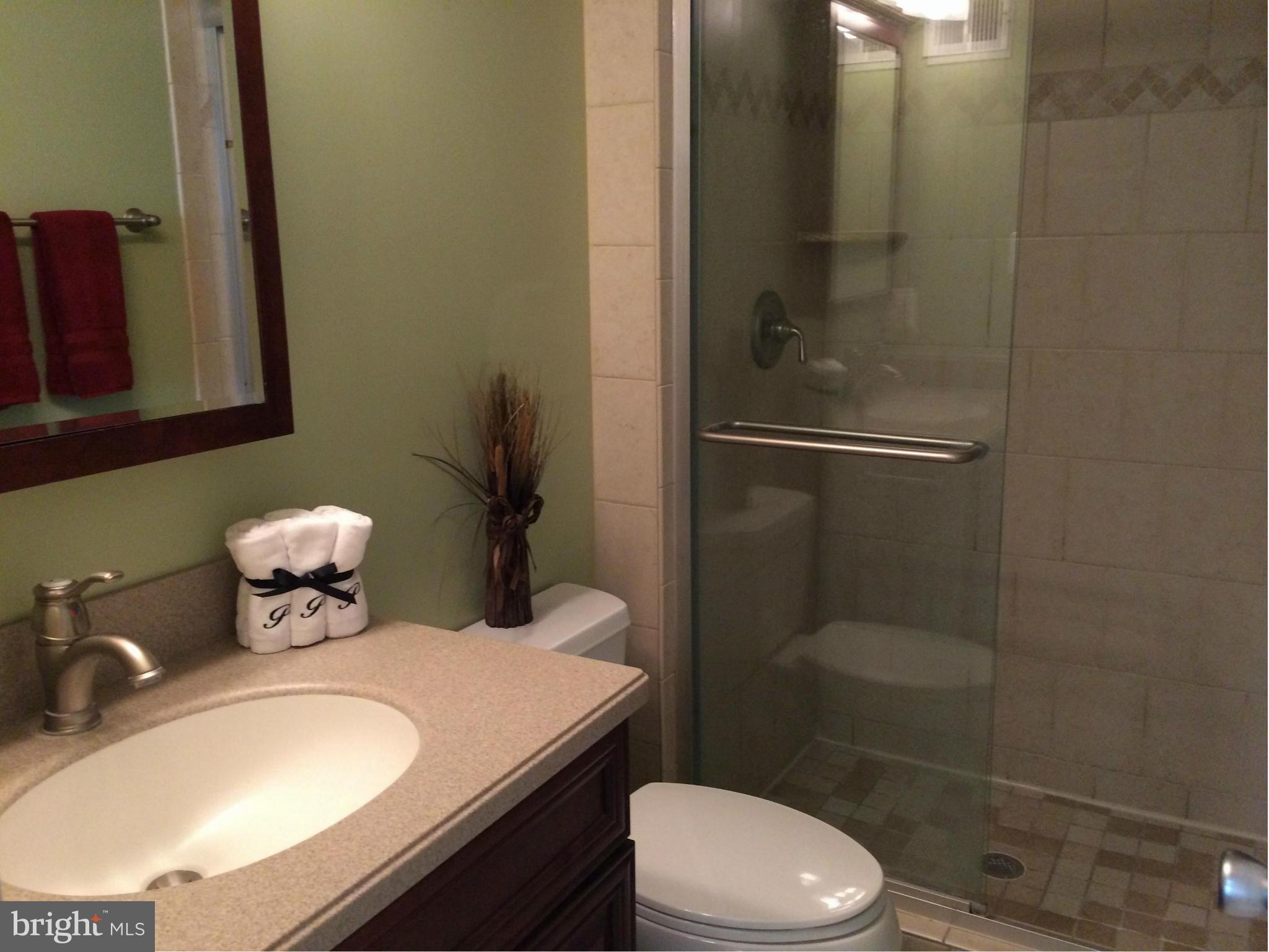 1494 Autumn Ridge Circle Reston, VA 20194 - Photo 14 of 24 Bath (Master)