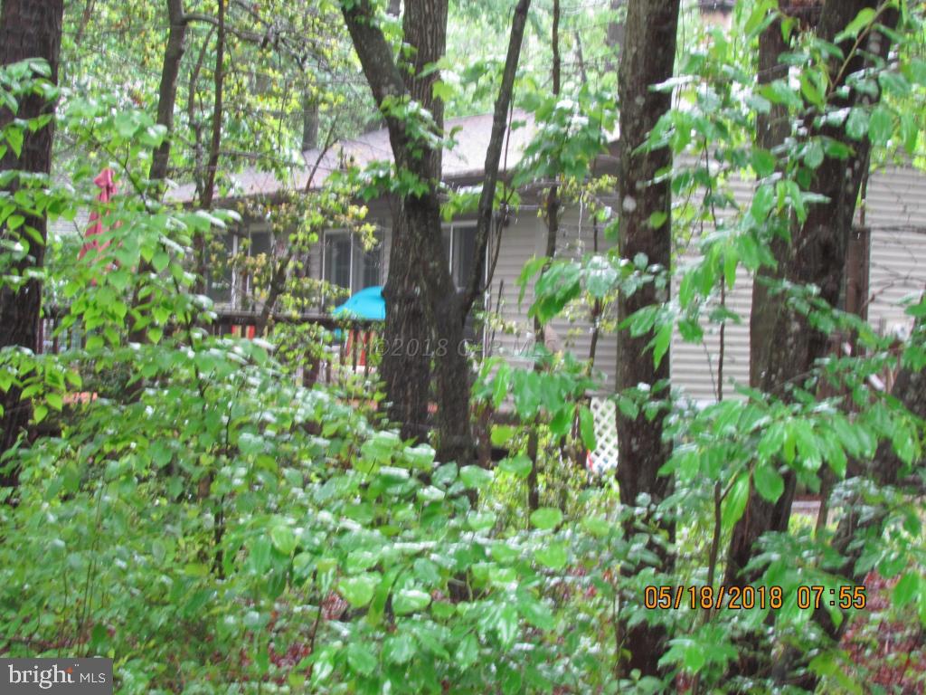 38 Sandyhook Road Ocean Pines, MD 21811 - Photo 26 of 33 a backyard of a house with lots of green space
