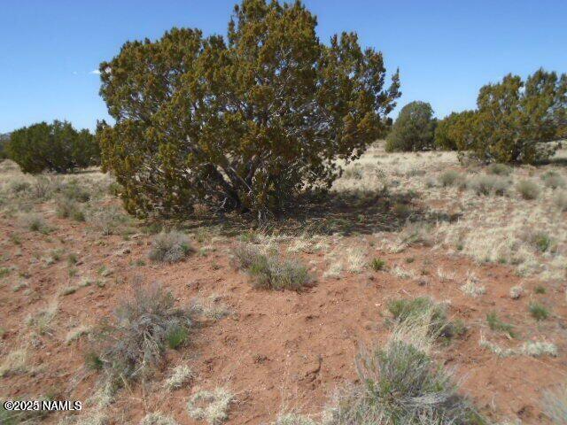 3435 East Valencia Road Williams, AZ 86046 - Photo 11 of 18 Valencia (18)