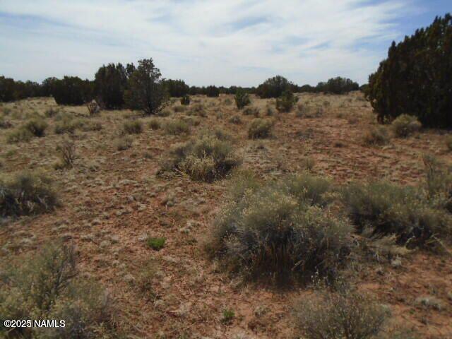 3435 East Valencia Road Williams, AZ 86046 - Photo 12 of 18 Valencia (17)