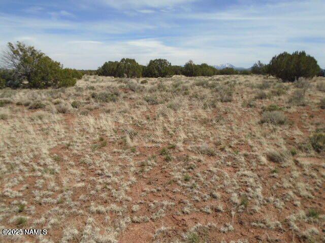 3435 East Valencia Road Williams, AZ 86046 - Photo 13 of 18 Valencia (11)
