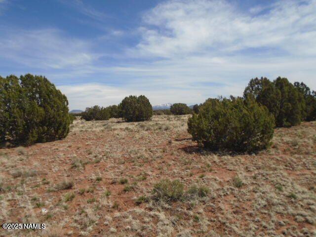 3435 East Valencia Road Williams, AZ 86046 - Photo 15 of 18 Valencia (4)
