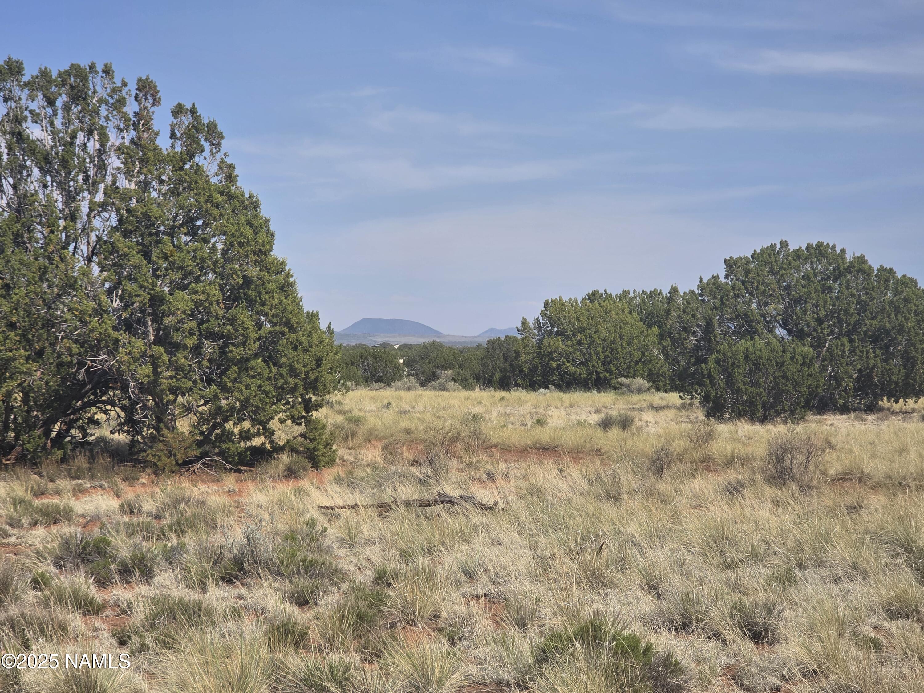 3435 East Valencia Road Williams, AZ 86046 - Photo 5 of 18 1000048415