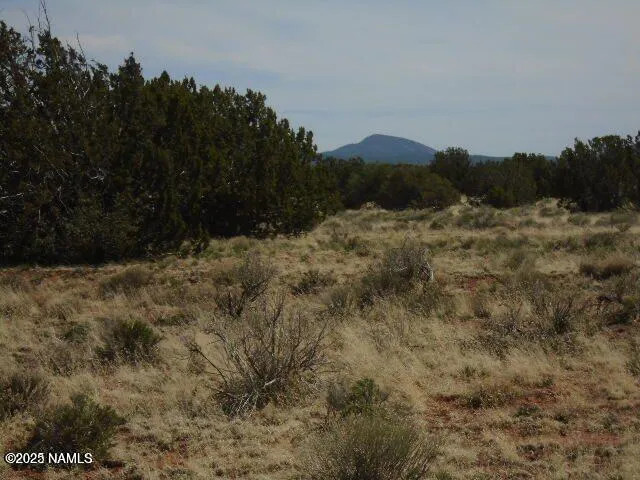 $17,500 | 3435 East Valencia Road, Williams, AZ 86046