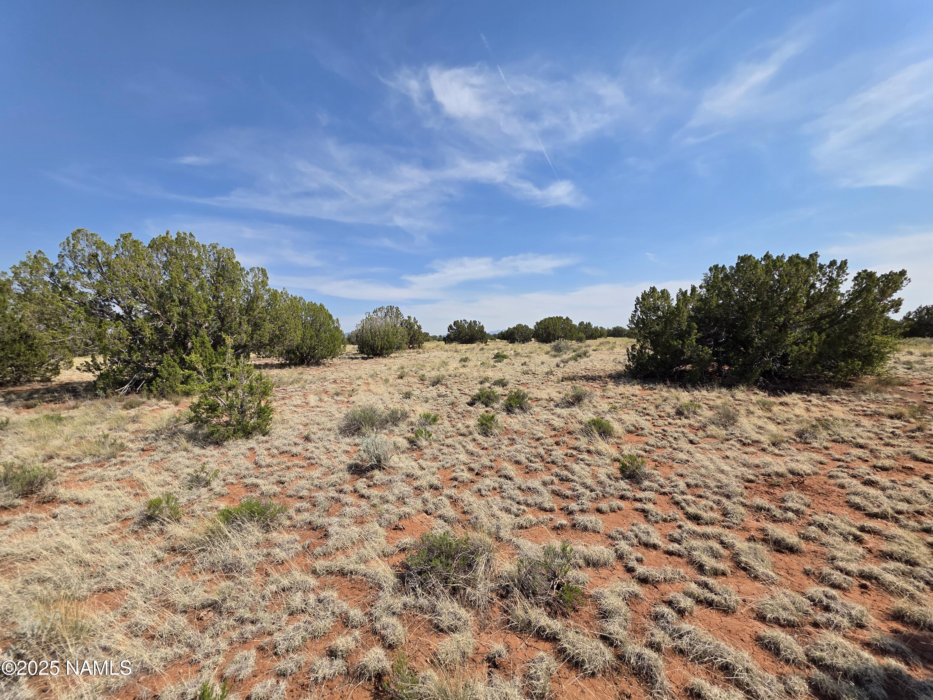 3435 East Valencia Road Williams, AZ 86046 - Photo 10 of 18 1000048419