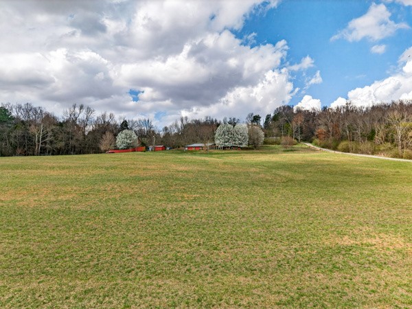 229 Coldwater Creek Road Taft, TN 38488 - Photo 42 of 44