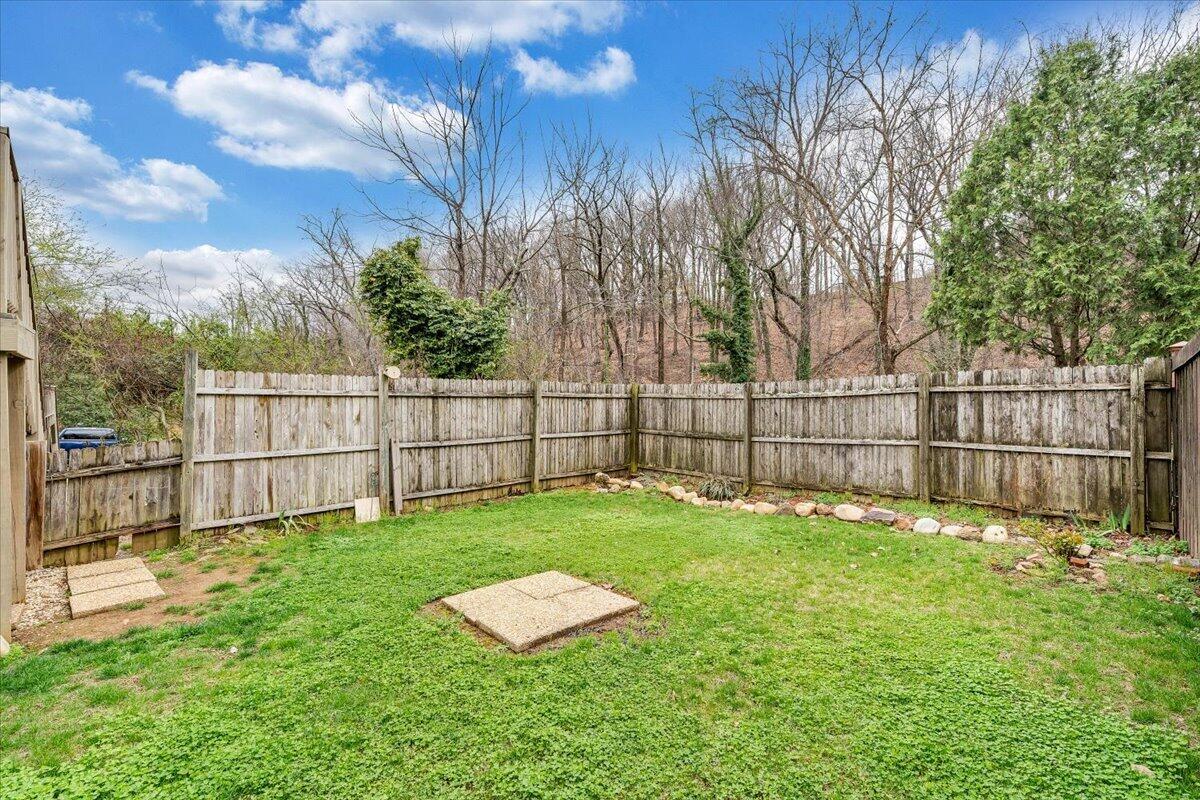 910 Brandon Avenue Southwest Roanoke, VA 24015 - Photo 41 of 50 a view of a backyard with a garden and tree
