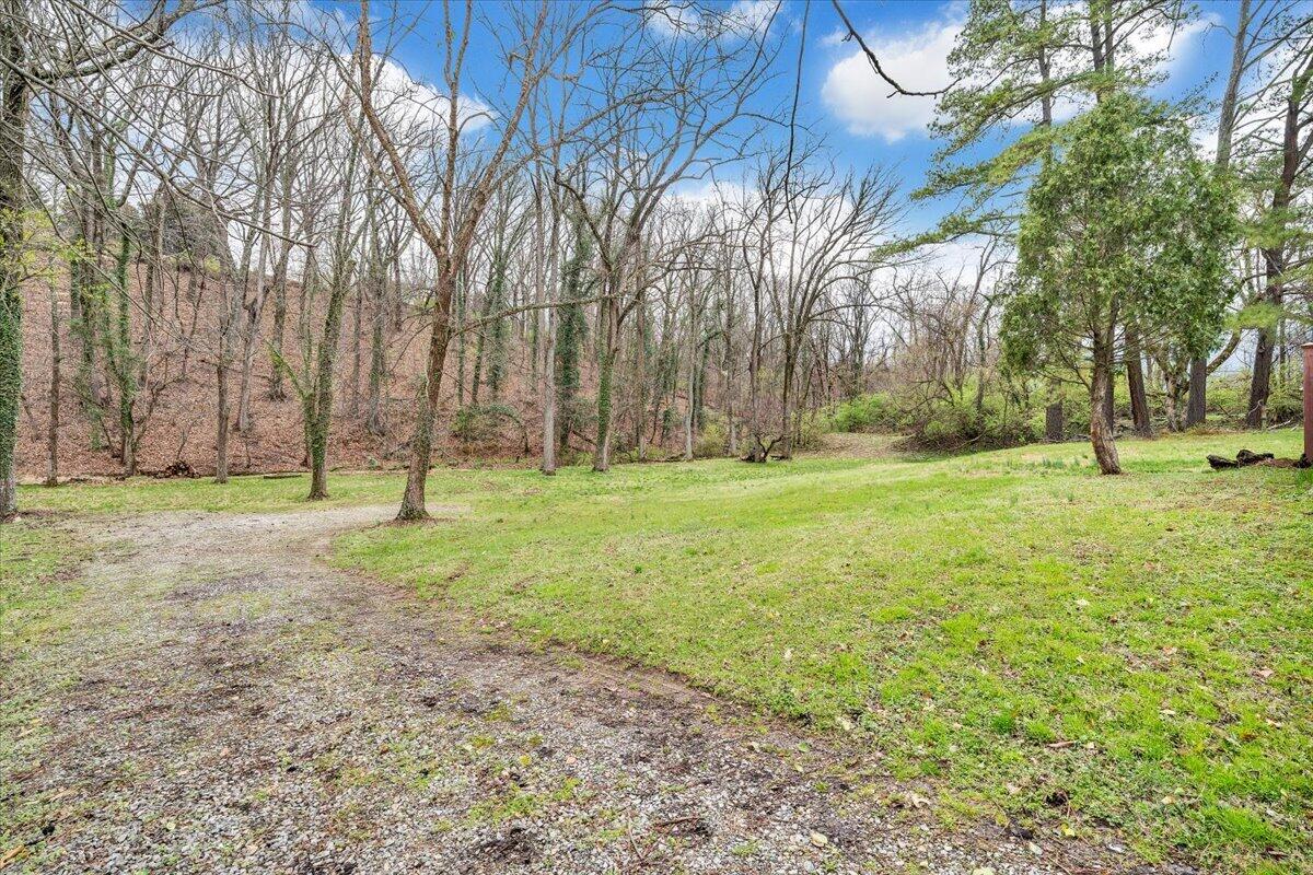 910 Brandon Avenue Southwest Roanoke, VA 24015 - Photo 42 of 50 a view of a park with large trees