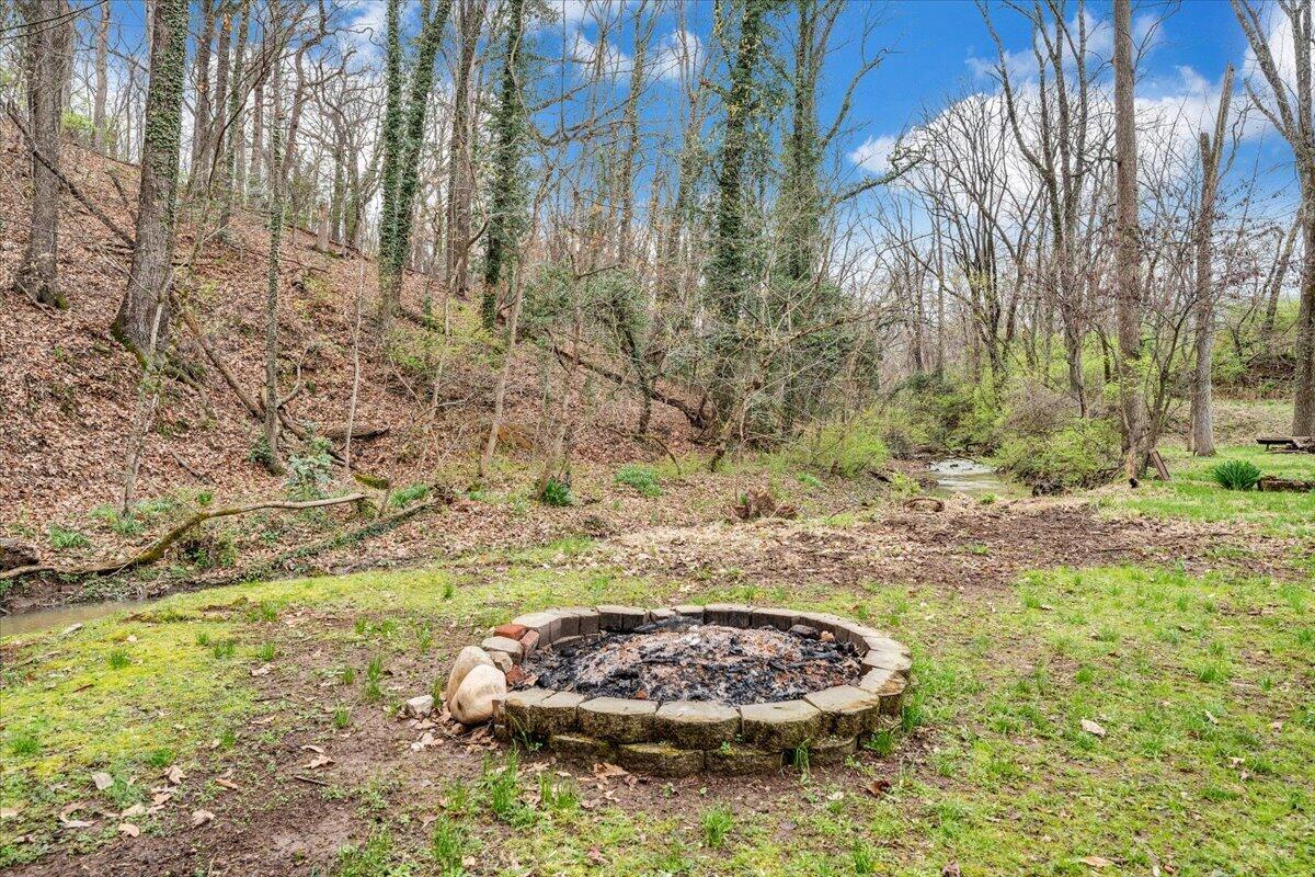910 Brandon Avenue Southwest Roanoke, VA 24015 - Photo 43 of 50 a backyard of a house with a lot of trees