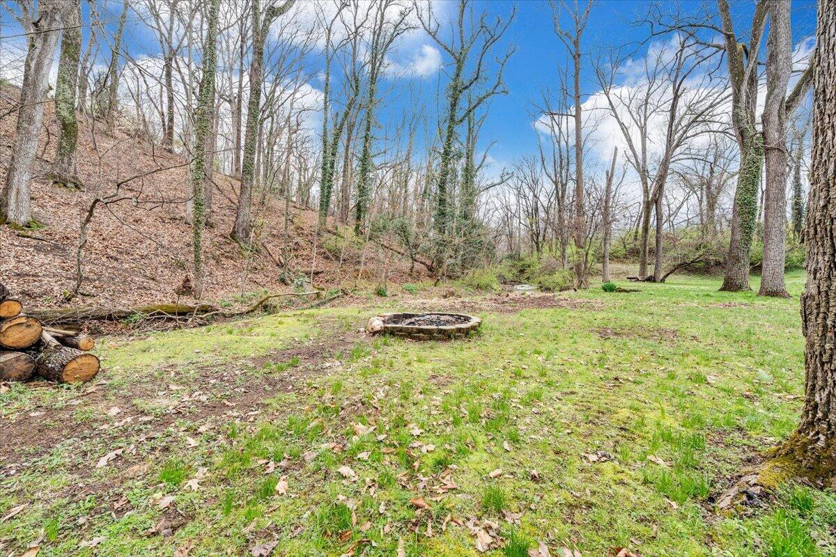 910 Brandon Avenue Southwest Roanoke, VA 24015 - Photo 44 of 50 a view of outdoor space with trees