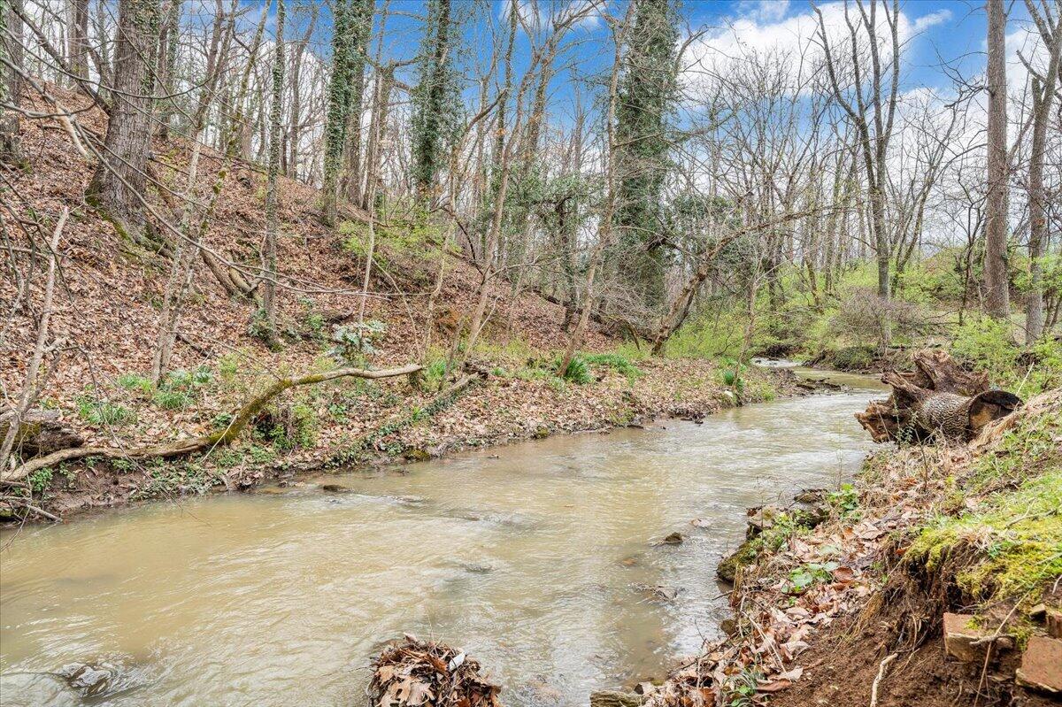 910 Brandon Avenue Southwest Roanoke, VA 24015 - Photo 45 of 50 a view of lake view