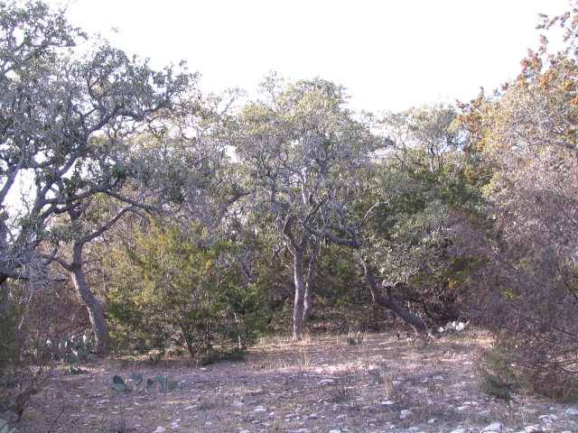 0 Dinosaur Ranch Road, Unit 29 Harper, TX 78631 - Photo 1 of 1 Main View