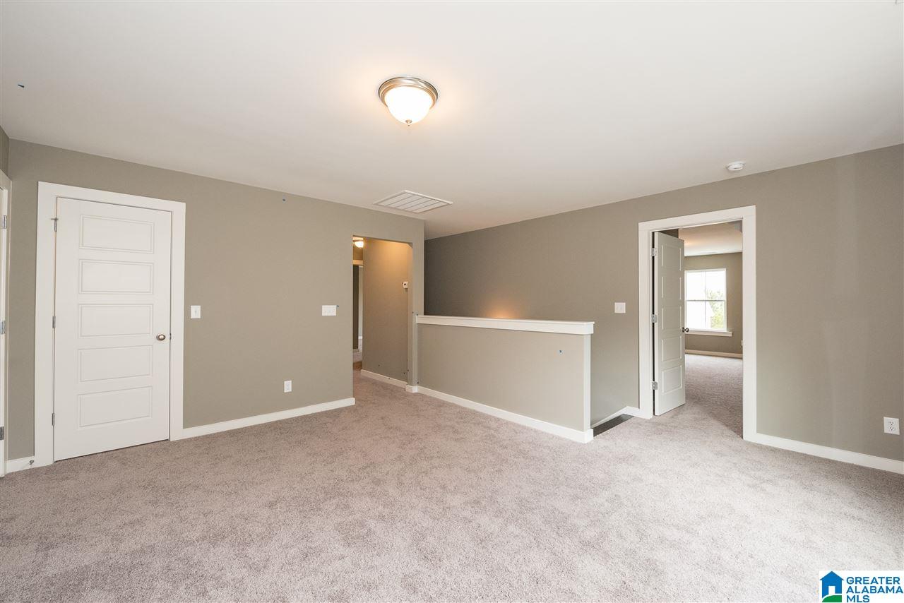 224 Rowntree Path Helena, AL 35080 - Photo 32 of 50