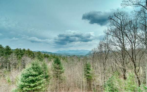 740 Chestnut Mountain Road Blairsville, GA 30512 - Photo 32 of 75 Additional View