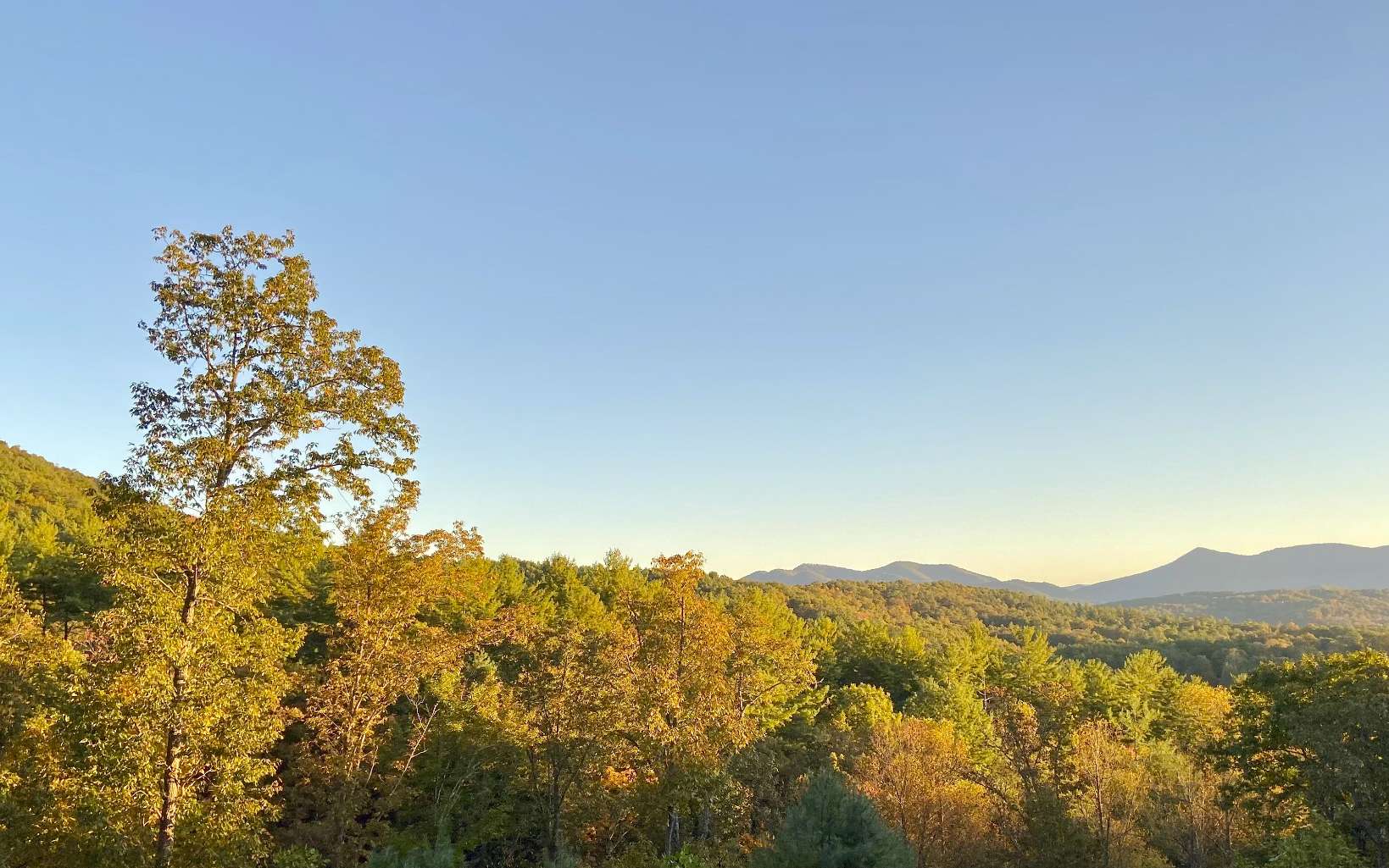 740 Chestnut Mountain Road Blairsville, GA 30512 - Photo 74 of 75 a view of a mountain