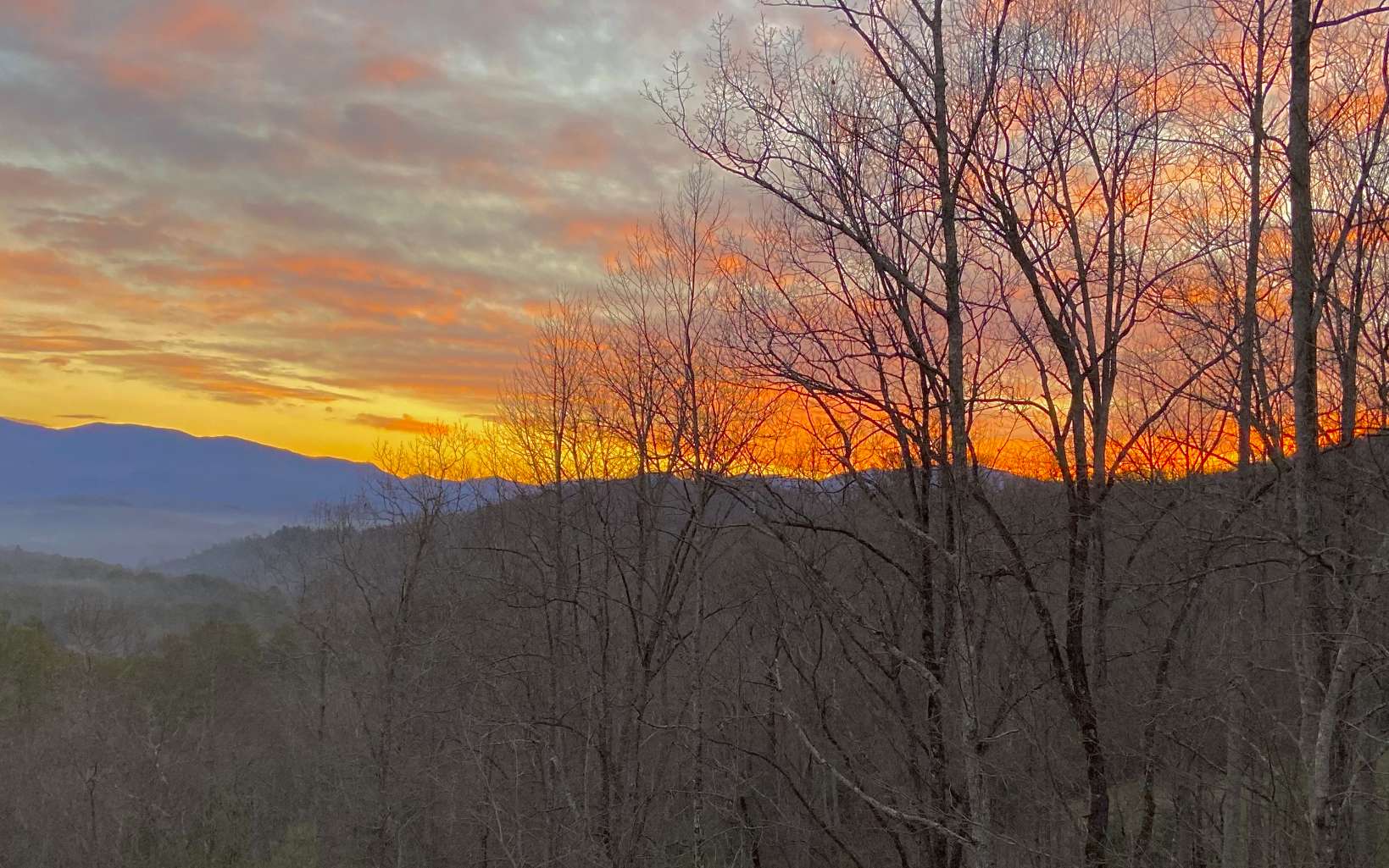 740 Chestnut Mountain Road Blairsville, GA 30512 - Photo 75 of 75 Additional View
