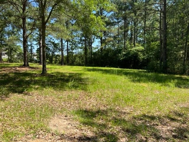 5.24-ac Adams Pond Road Opp, AL 36467 - Photo 1 of 18 Gallery Image 1