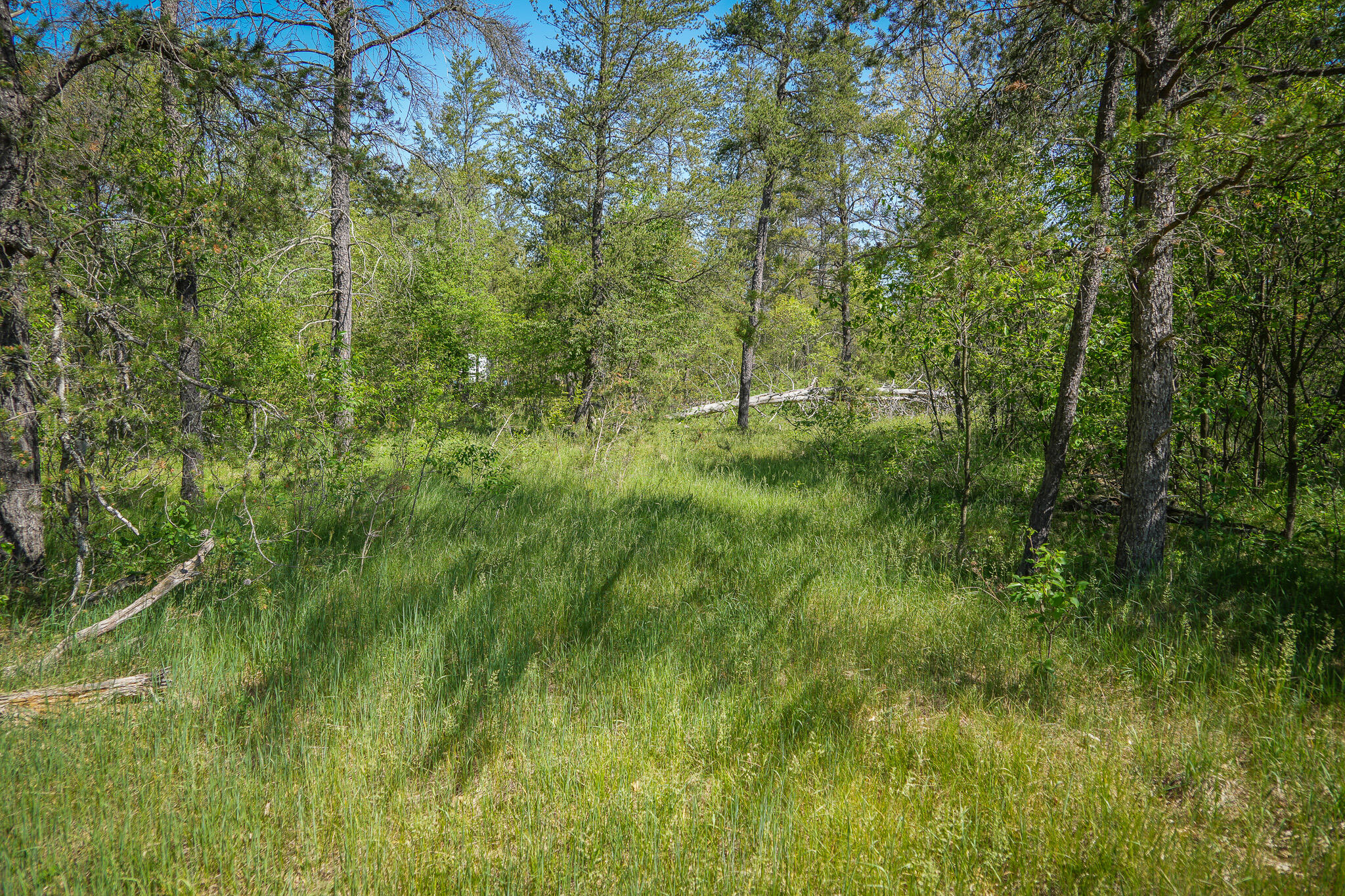 4364 West 4 Mile Road Irons, MI 49644 - Photo 19 of 39 4364 W 4 Mile Rd. Pic 19
