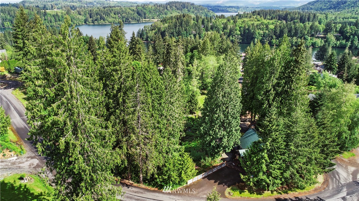 142 Streamside Drive Mossyrock, WA 98564 - Photo 29 of 29