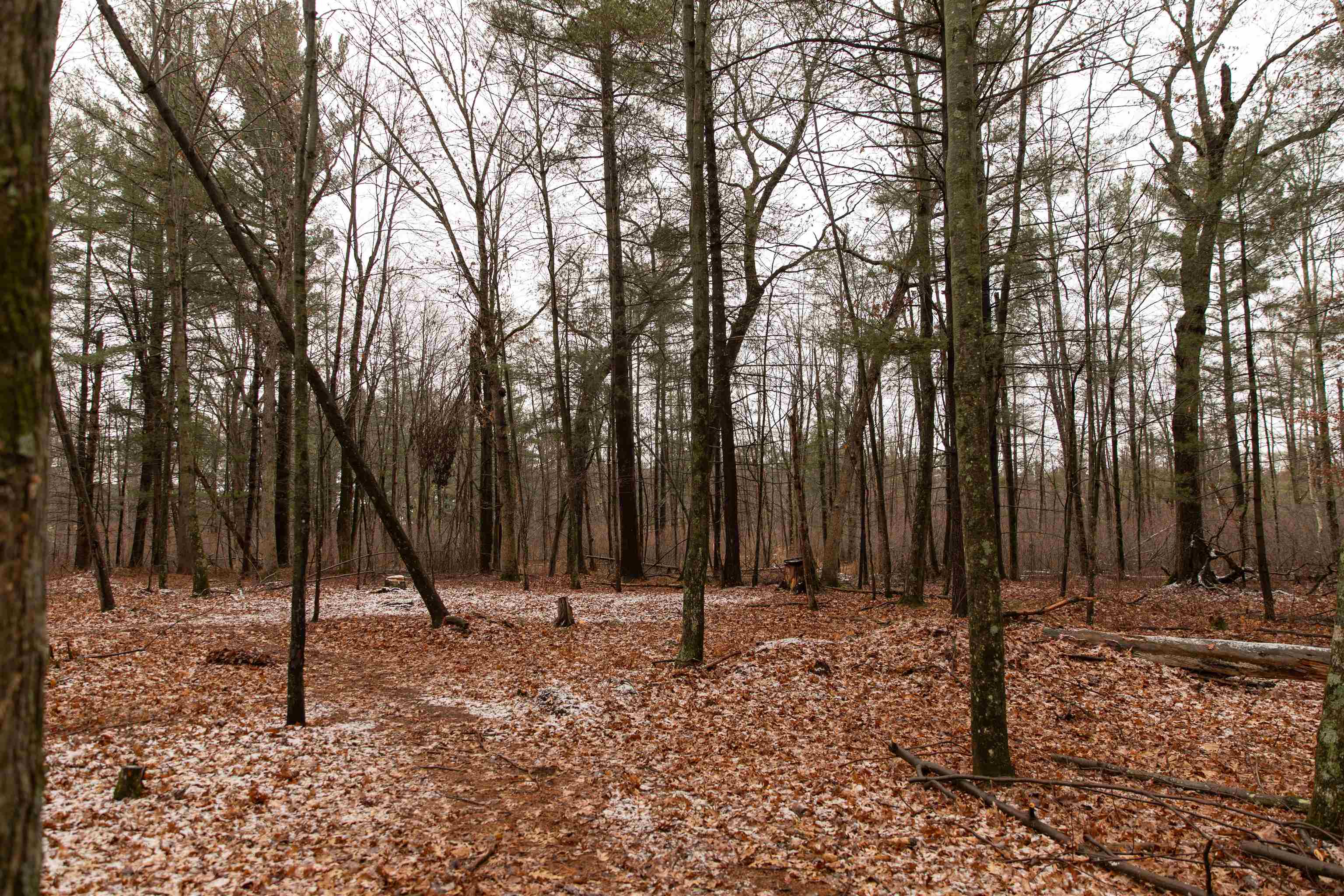 N5301 County Rd Y Montello, WI 53949 - Photo 71 of 75