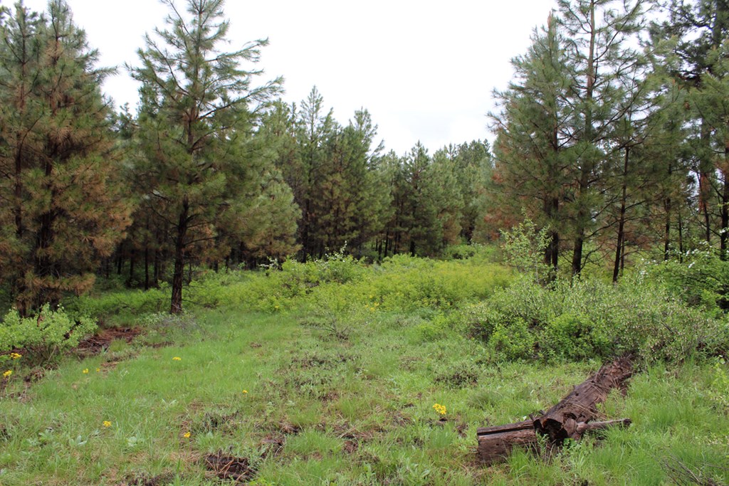 9 Kayla Way, Unit 27 Cascade, ID 83611 - Photo 2 of 13 Meadows & Woods