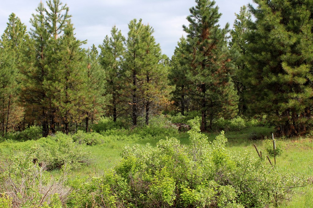 9 Kayla Way, Unit 27 Cascade, ID 83611 - Photo 5 of 13 Fields of Green