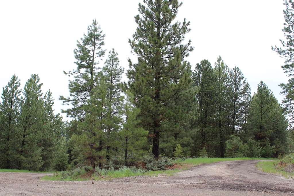 9 Kayla Way, Unit 27 Cascade, ID 83611 - Photo 8 of 13 Front Corner of Lot