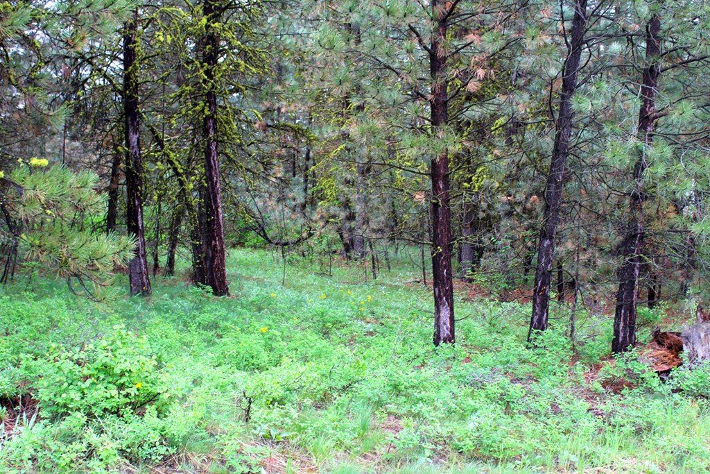 9 Kayla Way, Unit 27 Cascade, ID 83611 - Photo 9 of 13 Shady Area