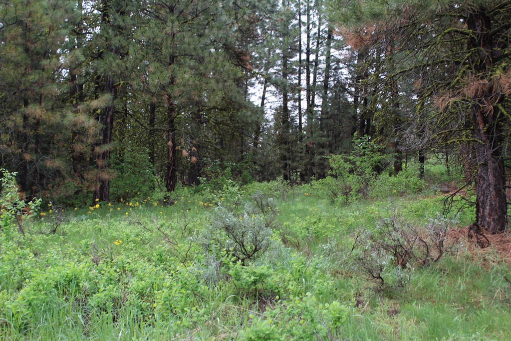 9 Kayla Way, Unit 27 Cascade, ID 83611 - Photo 10 of 13 Varying Foliage