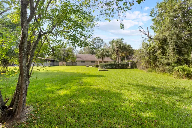 a view of yard with green space