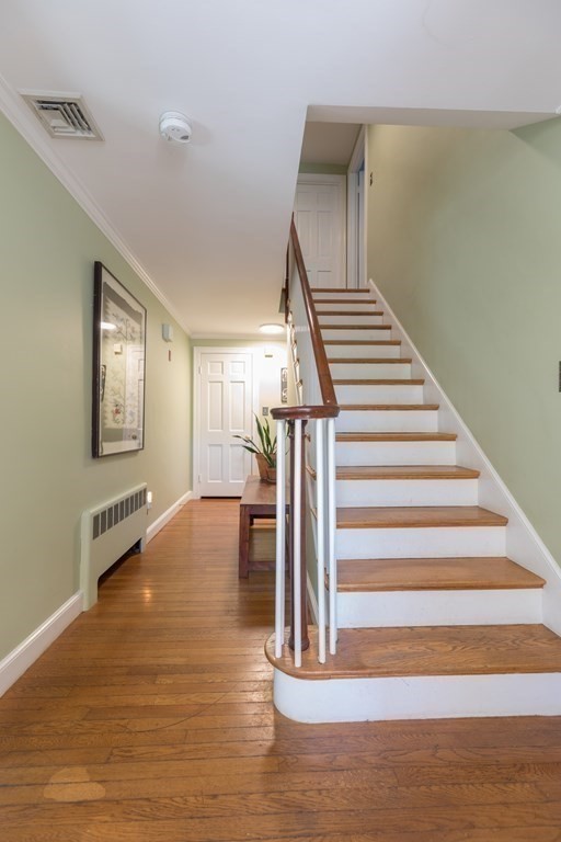 31 Alba Road Wellesley, MA 02481 - Photo 9 of 15