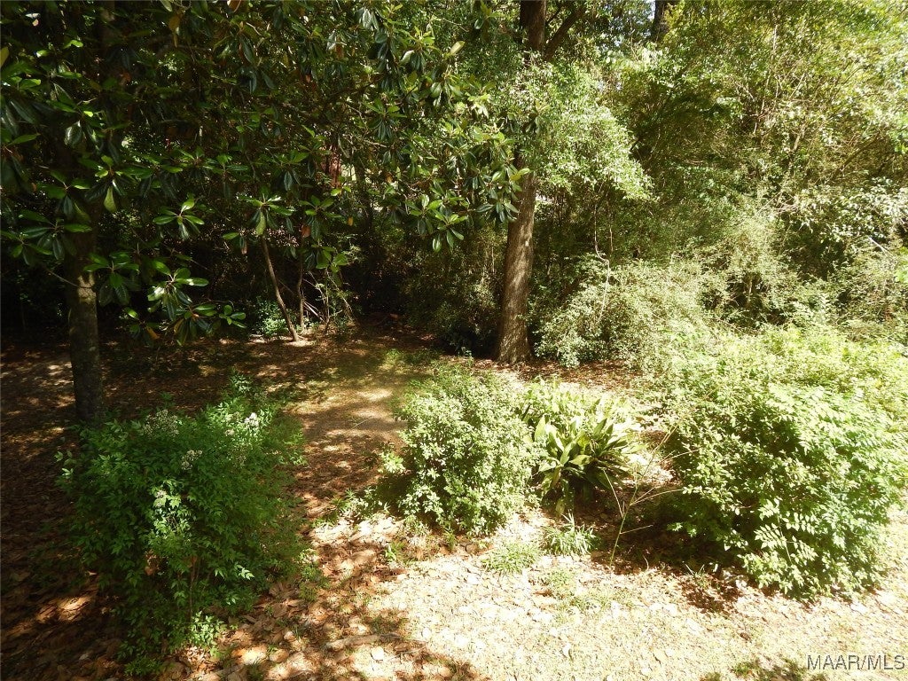 202 North Shipp Street Evergreen, AL 36401 - Photo 55 of 58 Gallery Image 55