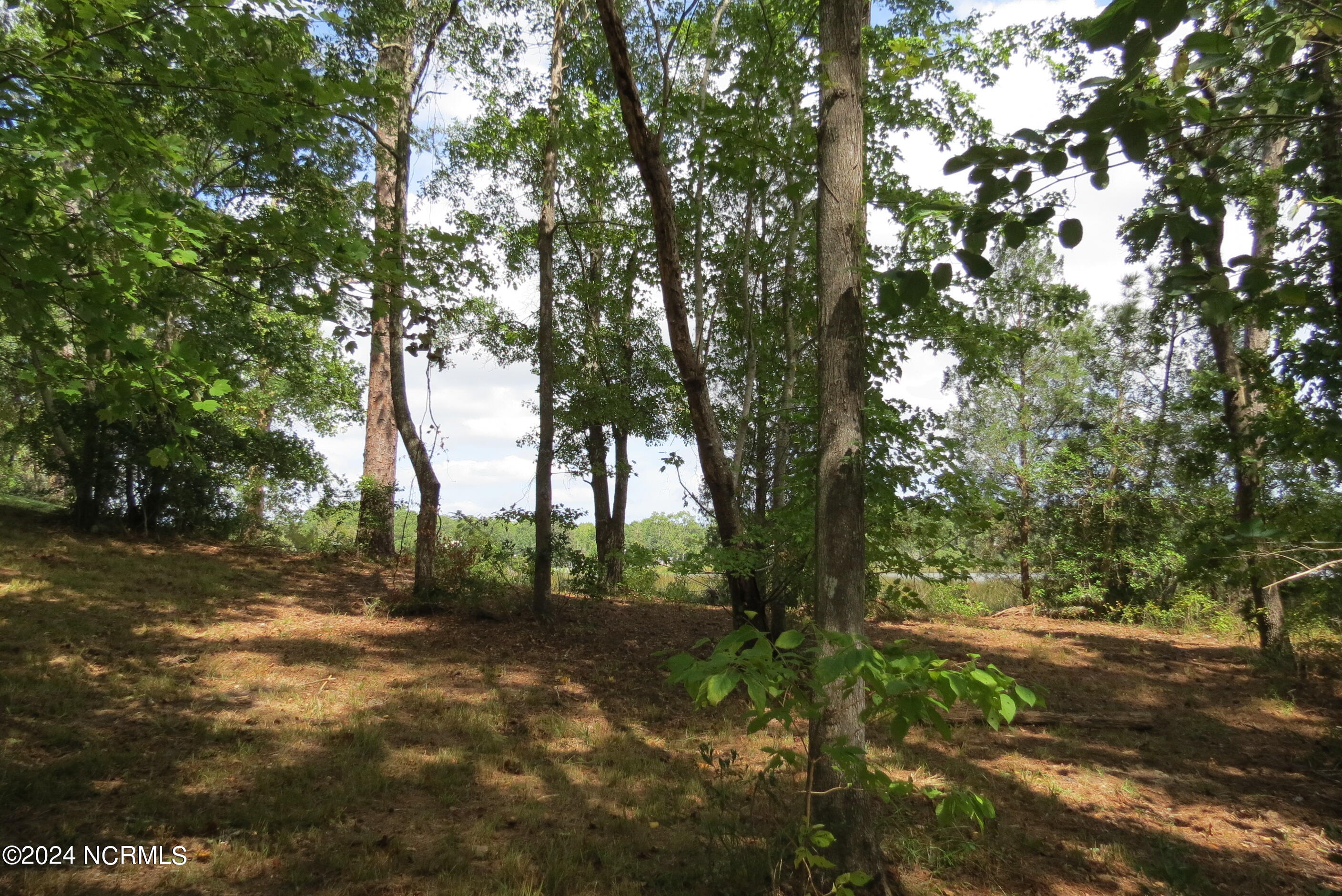 455 Bennett Neck Road Grantsboro, NC 28529 - Photo 37 of 65 IMG_9810