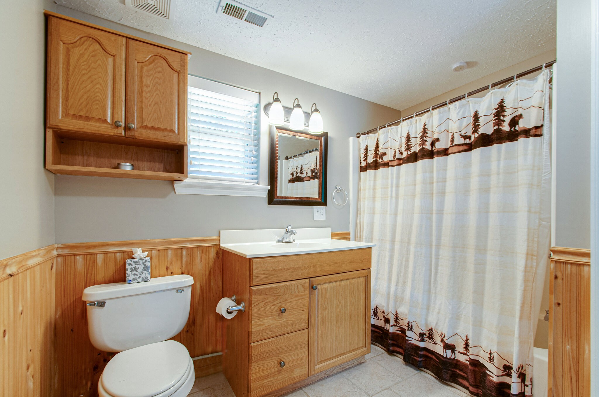 7264 Deer Ridge Road Fairview, TN 37062 - Photo 25 of 37 a bathroom with a toilet a sink and mirror