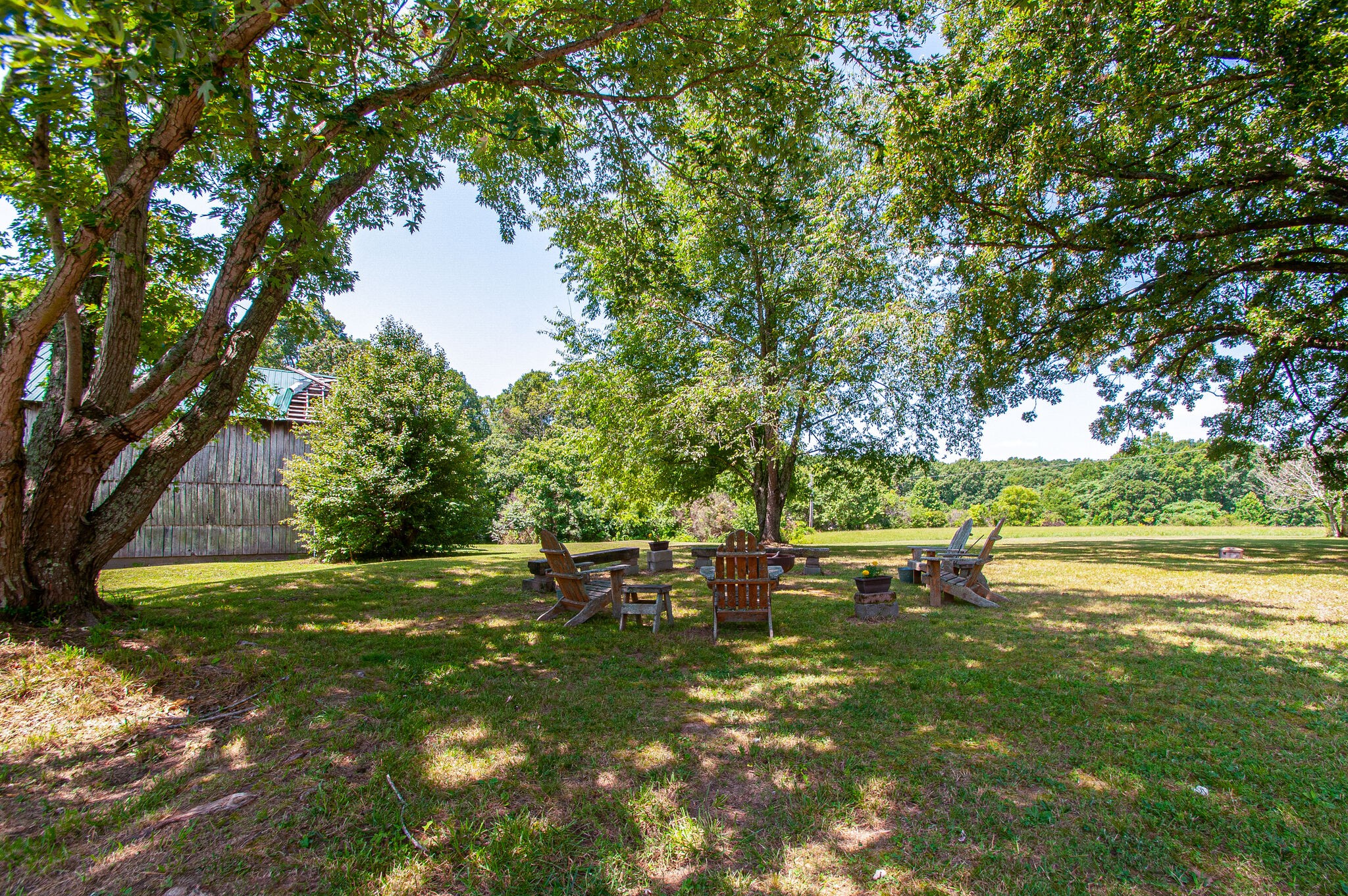 7264 Deer Ridge Road Fairview, TN 37062 - Photo 3 of 37 a view of yard with green space and trees around