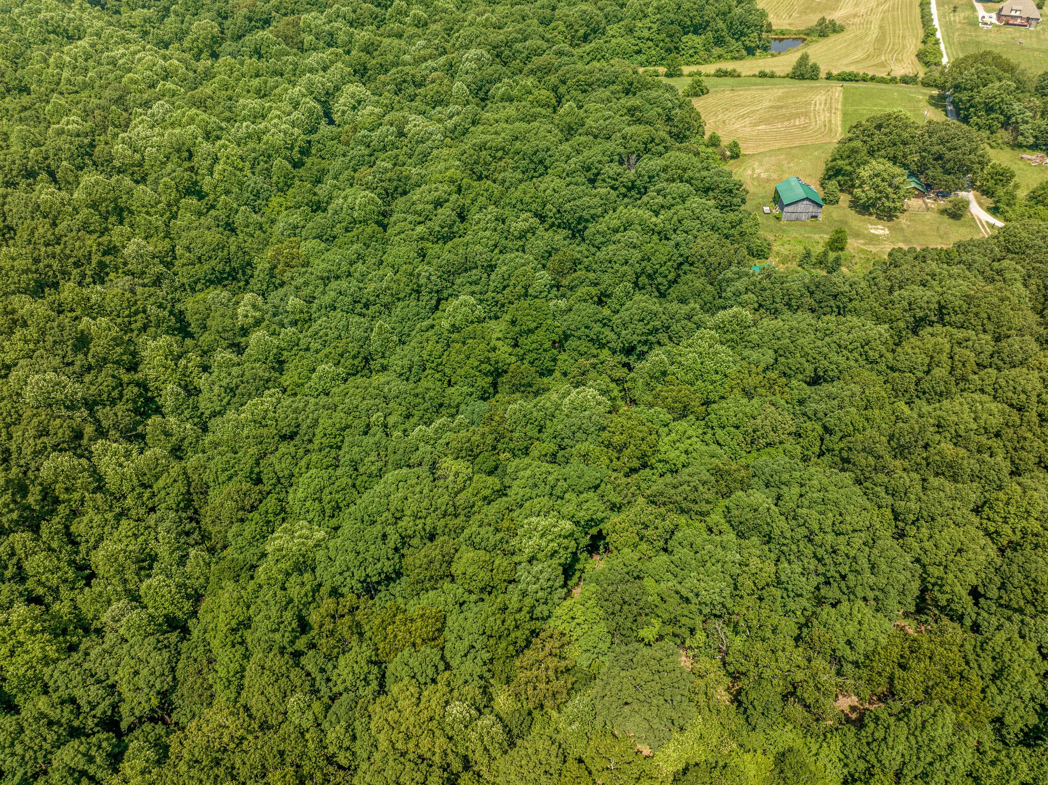 7264 Deer Ridge Road Fairview, TN 37062 - Photo 35 of 37 a view of a lake view