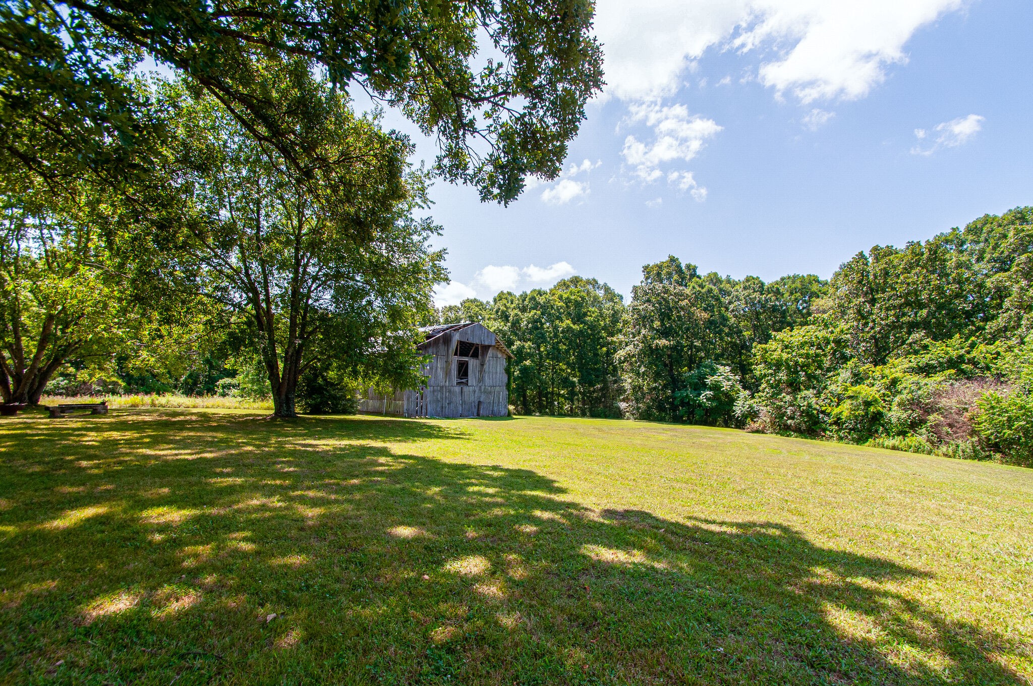 7264 Deer Ridge Road Fairview, TN 37062 - Photo 4 of 37 a view of grassy field with trees