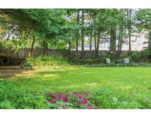 480 Plumtree Road Springfield, MA 01118 - Photo 25 of 28 a view of a garden with a tree