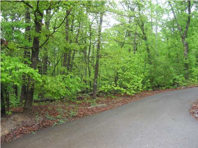 24 Deer Ridge Trail Ocoee, TN 37361 - Photo 1 of 5 Primary Photo