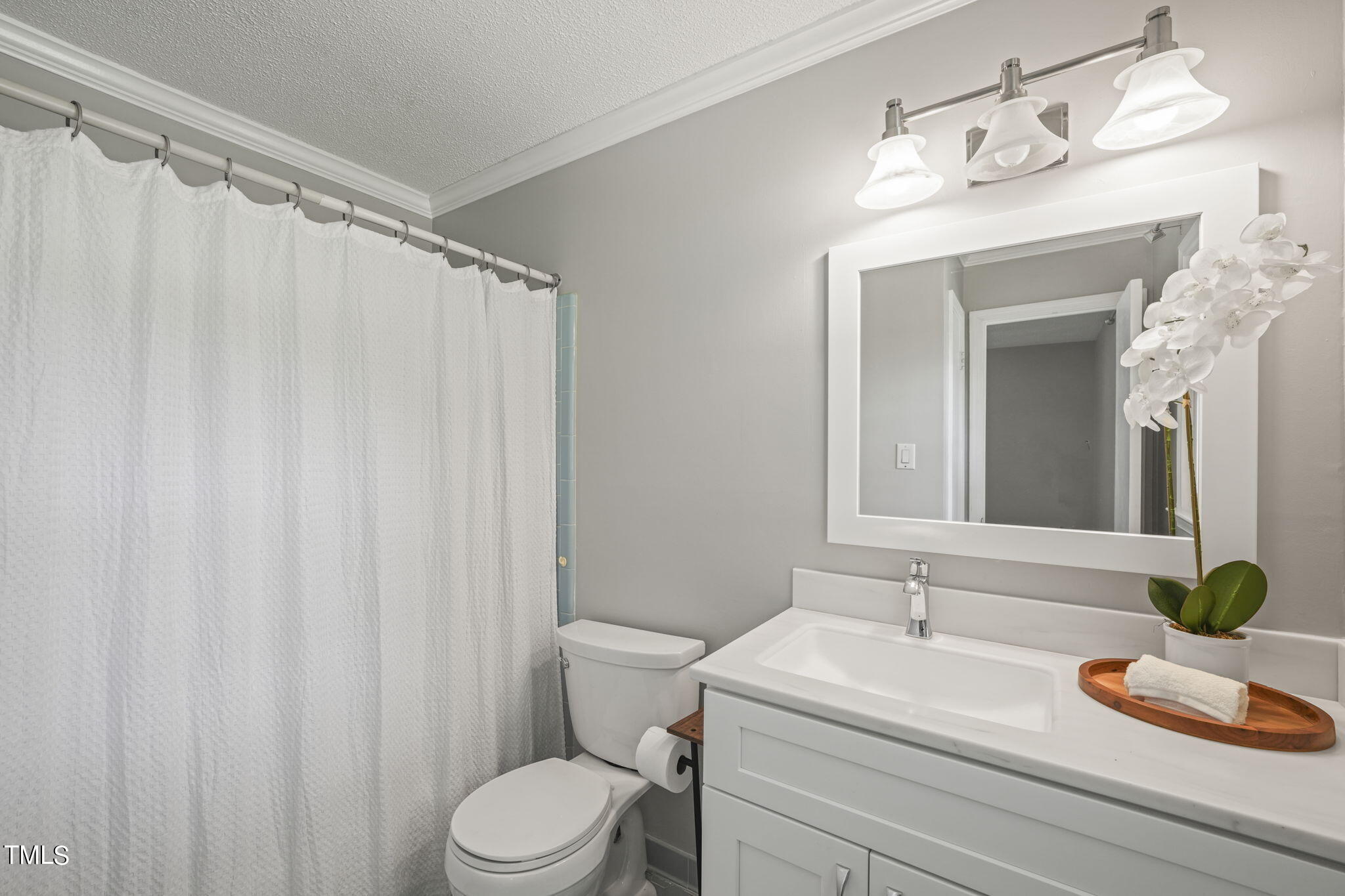 201 Southeast Maynard Road Cary, NC 27511 - Photo 25 of 51 50-web-or-mls-DSC06730