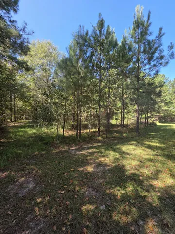 $15,000 | 0 Beaver Dam Road, Millen, GA 30442
