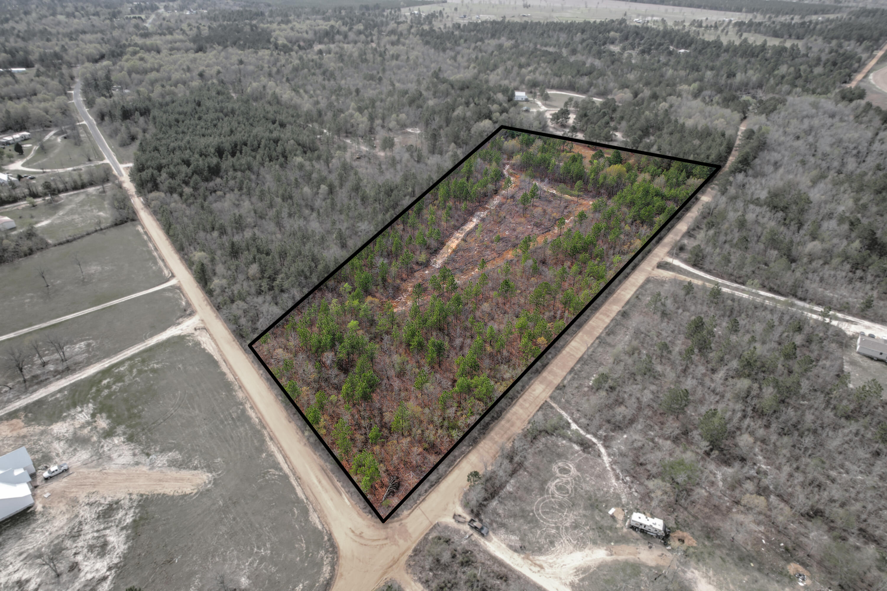 11-acres North 11-acres N Windsor Road Windsor, SC 29856 - Photo 7 of 16