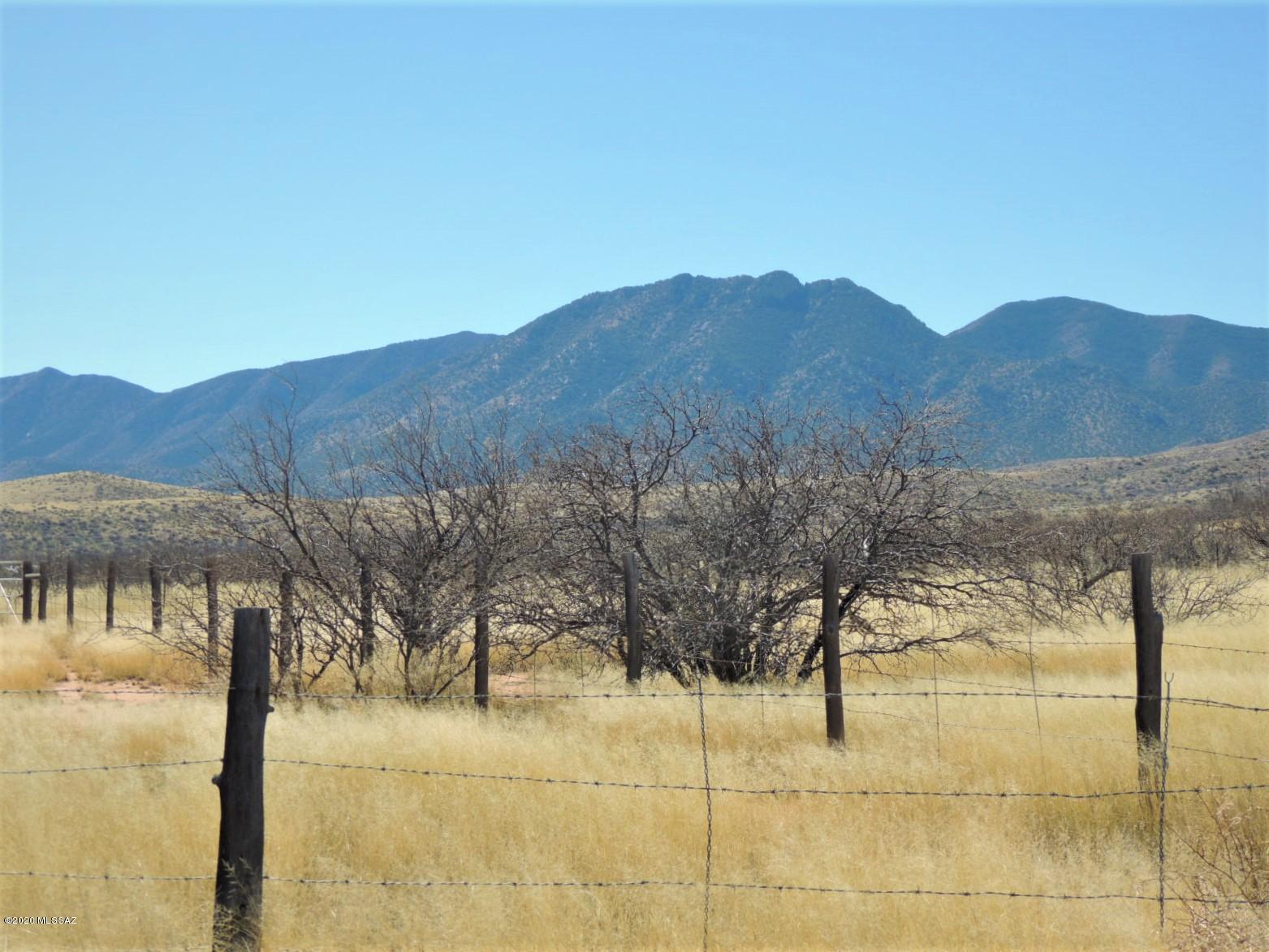 778 West Pearce Road Pearce, AZ 85625 - Photo 44 of 50