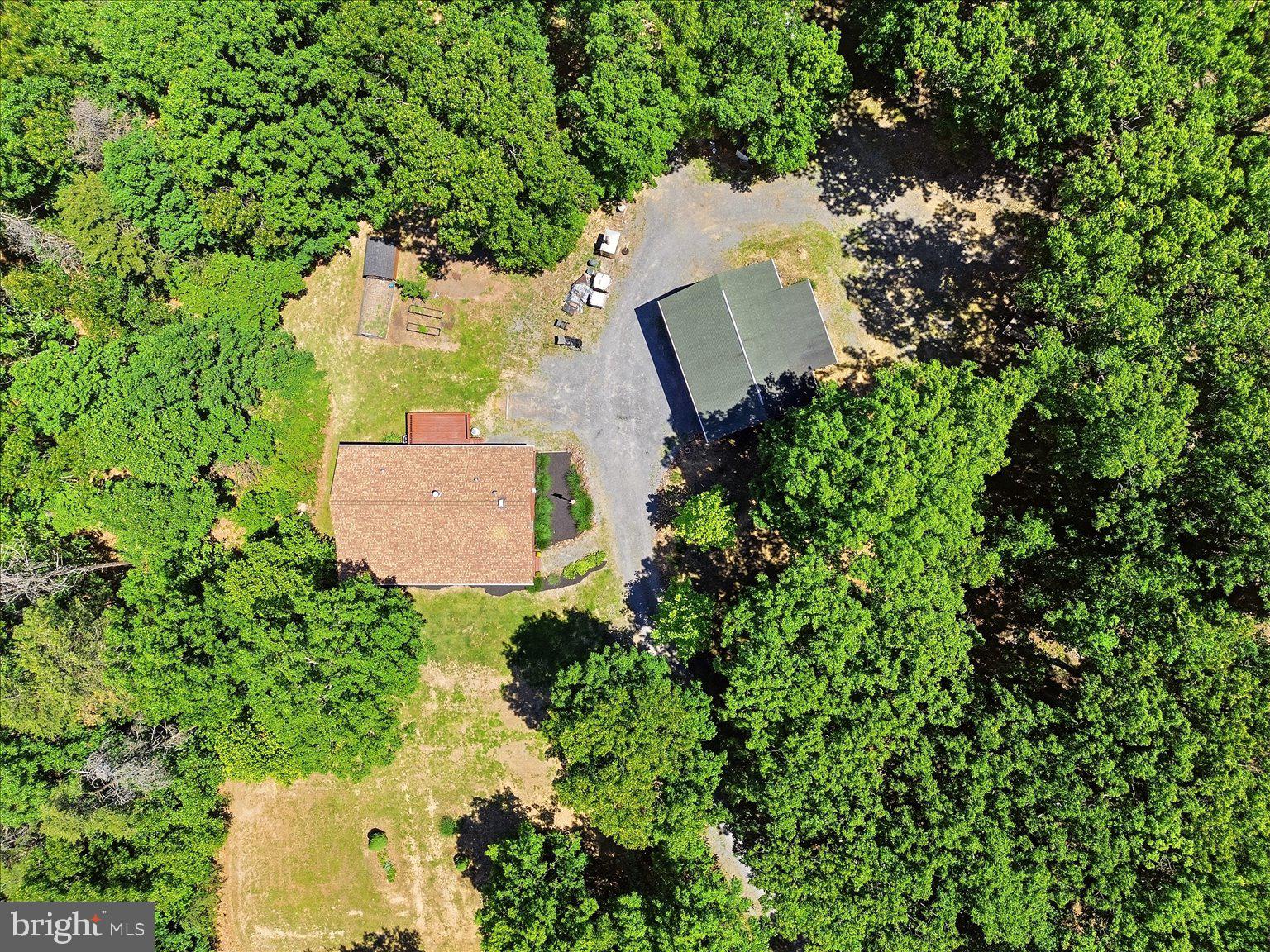 323 South Timber Ridge Road Cross Junction, VA 22625 - Photo 5 of 109 Serene retreat amidst lush greenery.