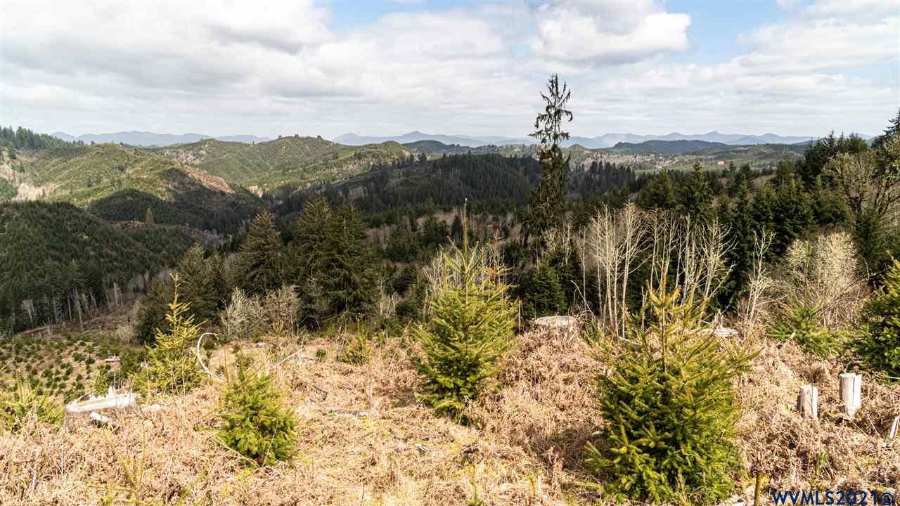 R287435 R287435 Toledo, OR 97391 - Photo 30 of 38 Gallery Image 30