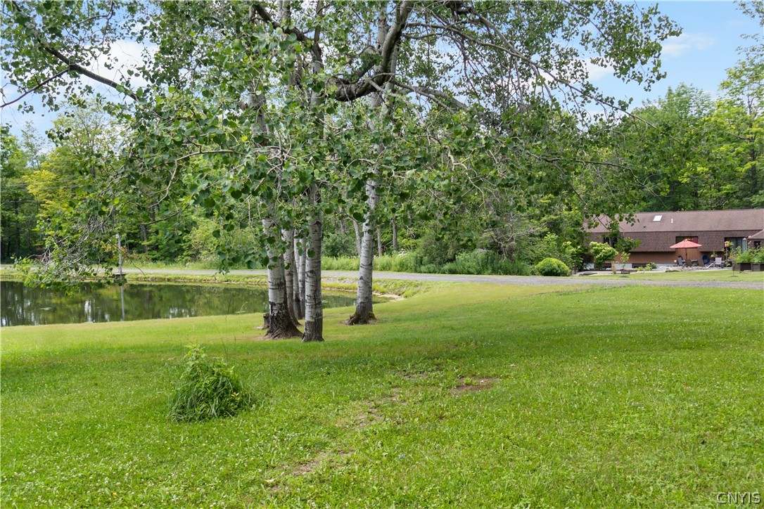 4456 Francis Road Fenner, NY 13035 - Photo 28 of 50